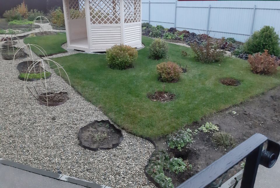 Сад после осенней уборки: что ждать в ноябре