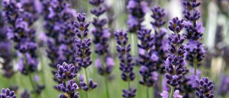 ���������� ������� � ����: ������� ��������� �����