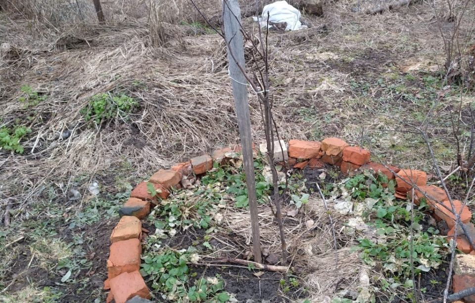 ����������� ������: ��� ������ ������� � ������ �����