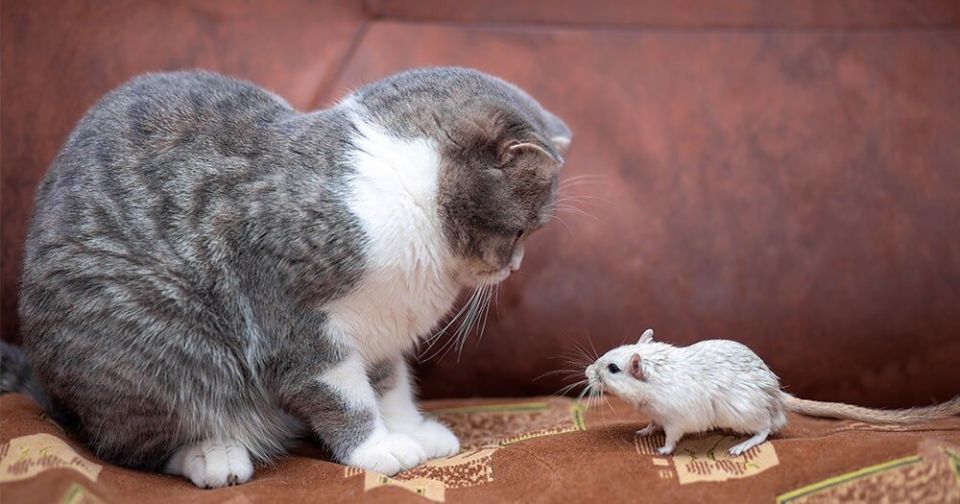 ����������� ������ ������ � ������: ��� �������� ��� � ������