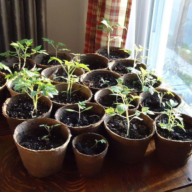 ������� �������� ��������� ������� ���������