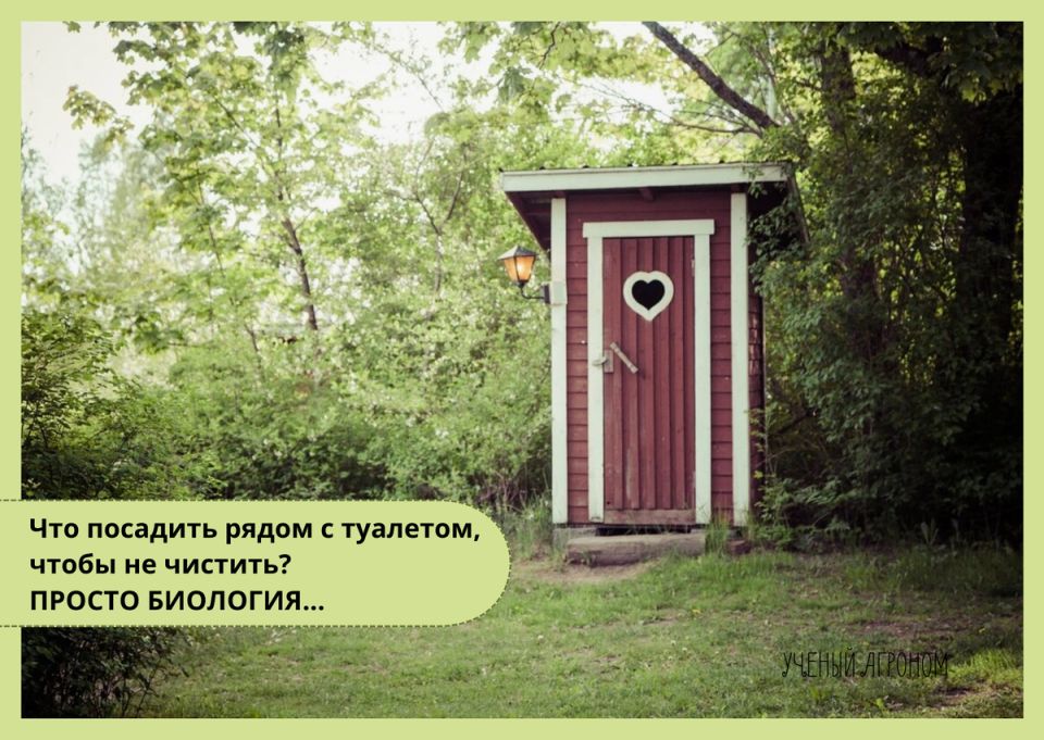 ��� �������� ������� ������ ������� ������� � ������� ������