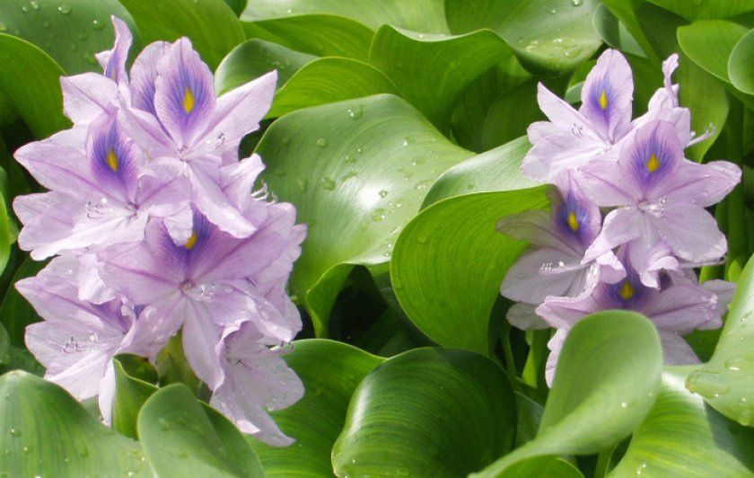 �������� ��������������: �� ��������� ���� �� ������ �����������