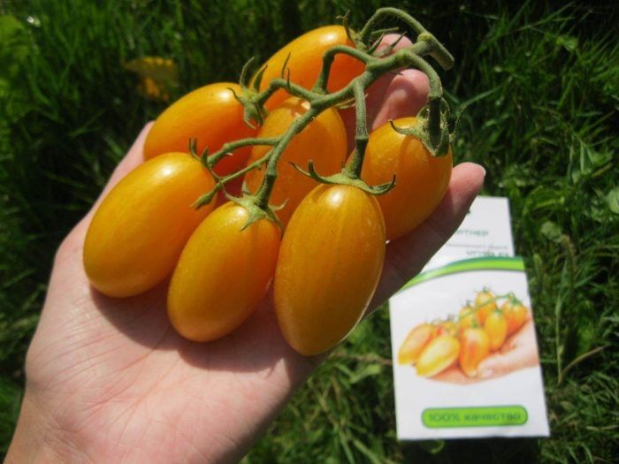 ����� ������� ��������: ������� ����������� �� ����� �����