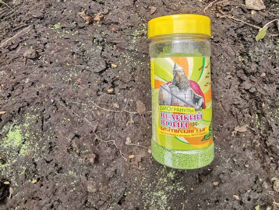 Биогранулы против муравьев: мгновенное спасение для вашего сада